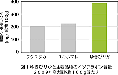 イソフラボン含有量