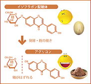 アグリコン